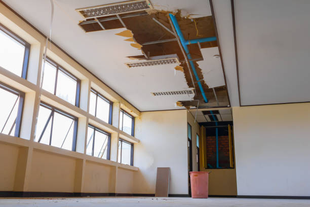 Best Water damage restoration experts  in Lake Cherokee, TX