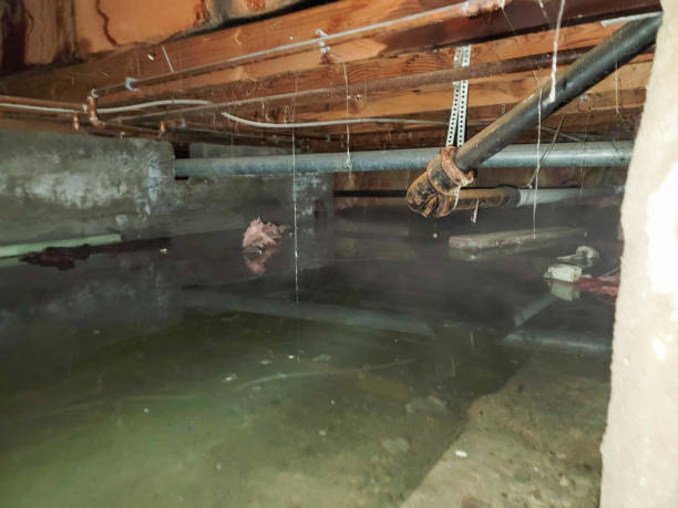 Best Water damage restoration company  in Lake Cherokee, TX