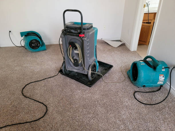 Best Emergency water damage restoration  in Lake Cherokee, TX
