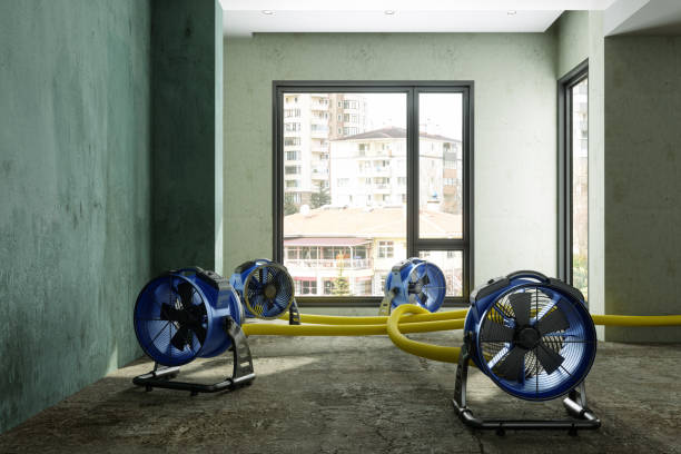 Sewage cleanup and water damage restoration in Lake Cherokee, TX